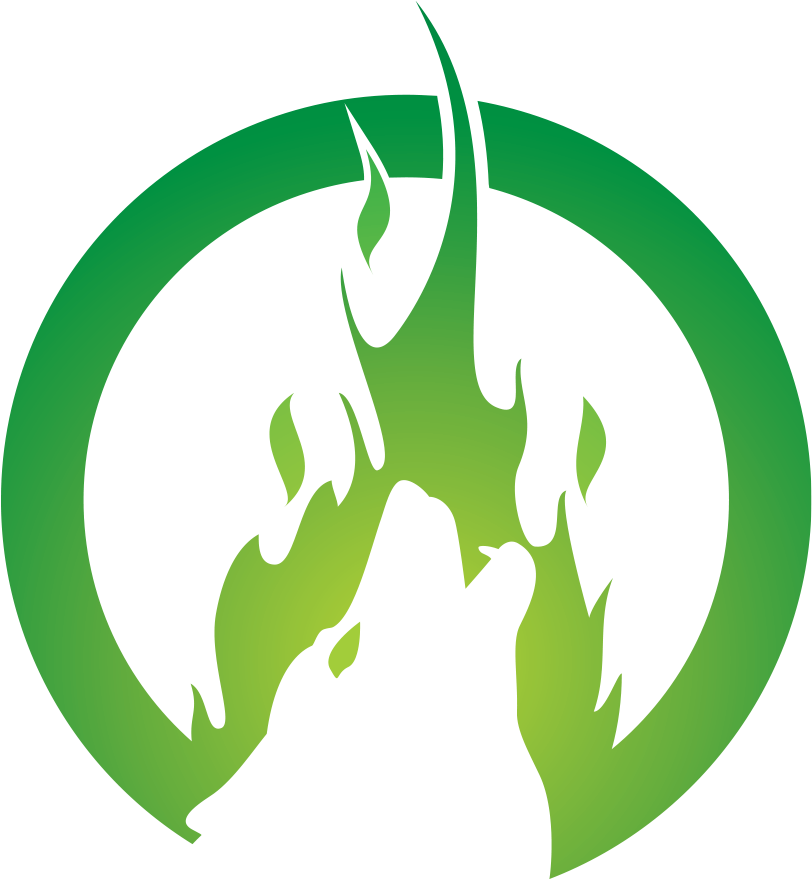 “we Reached The Old Wolf In Time To Watch A Fierce - Blog (904x904)