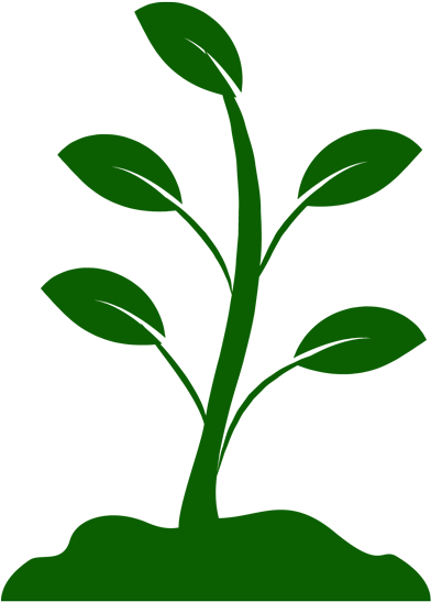 Plantation - Icon (400x600)