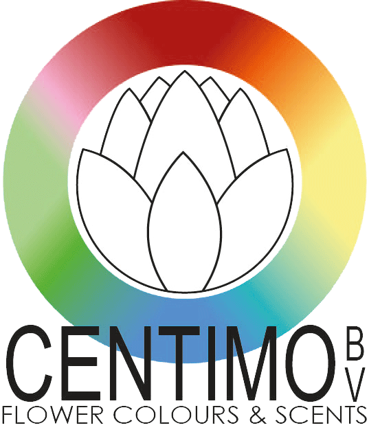 Dribble A Soccer Ball (537x629)