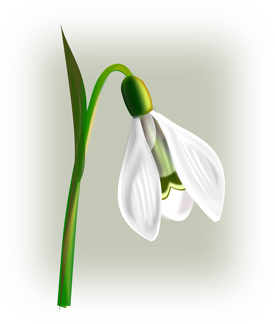 Flower, Flowers, Cartoon, Beauty, Plant, Snow - Best Friends Forever Heart Touching Quotes (543x640)