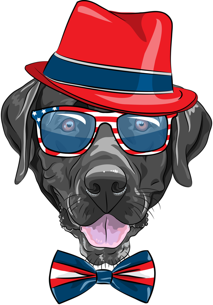 Album - Labrador Hipster (717x1024)
