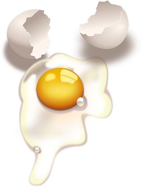 Egg, Broken, Yolk, Raw, Cracked, Uncooked, Shell - Raw Eggs Clipart (490x640)