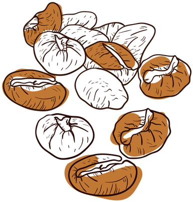 Drawn Coffee Vector Png - Hand Drawn Coffee Png (512x512)