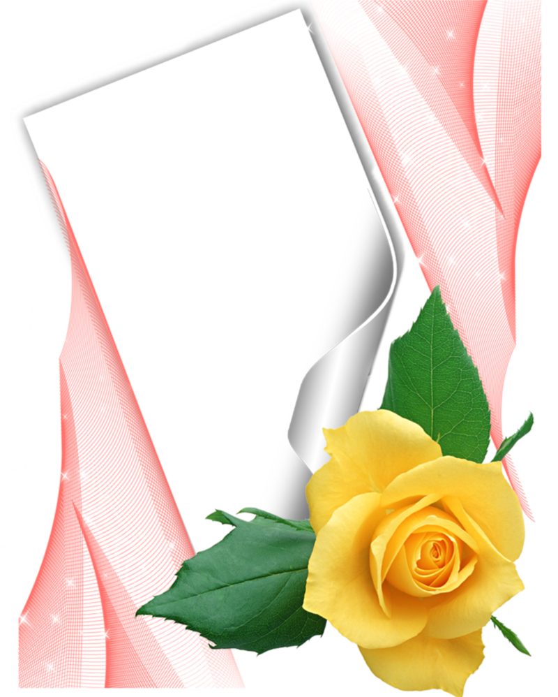 Publicat De Eu Ciresica La - Frame (800x998)