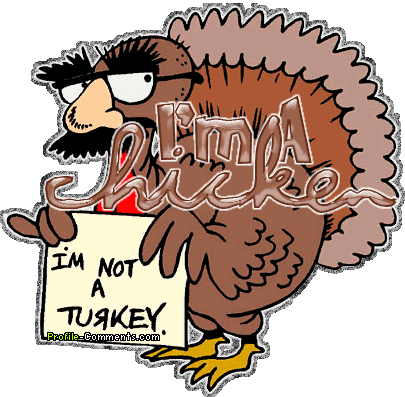 Creative Funny Cartoon Turkeys Wallpaper Stock - Happy Turkey Day Funny (405x397)