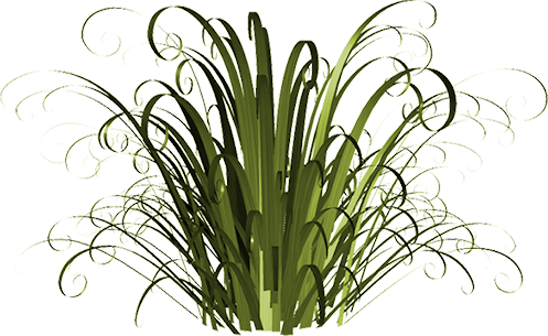 Flores Png - Portable Network Graphics (497x305)