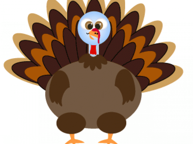 Cartoon Turkey Picture - Cartoon (640x480)