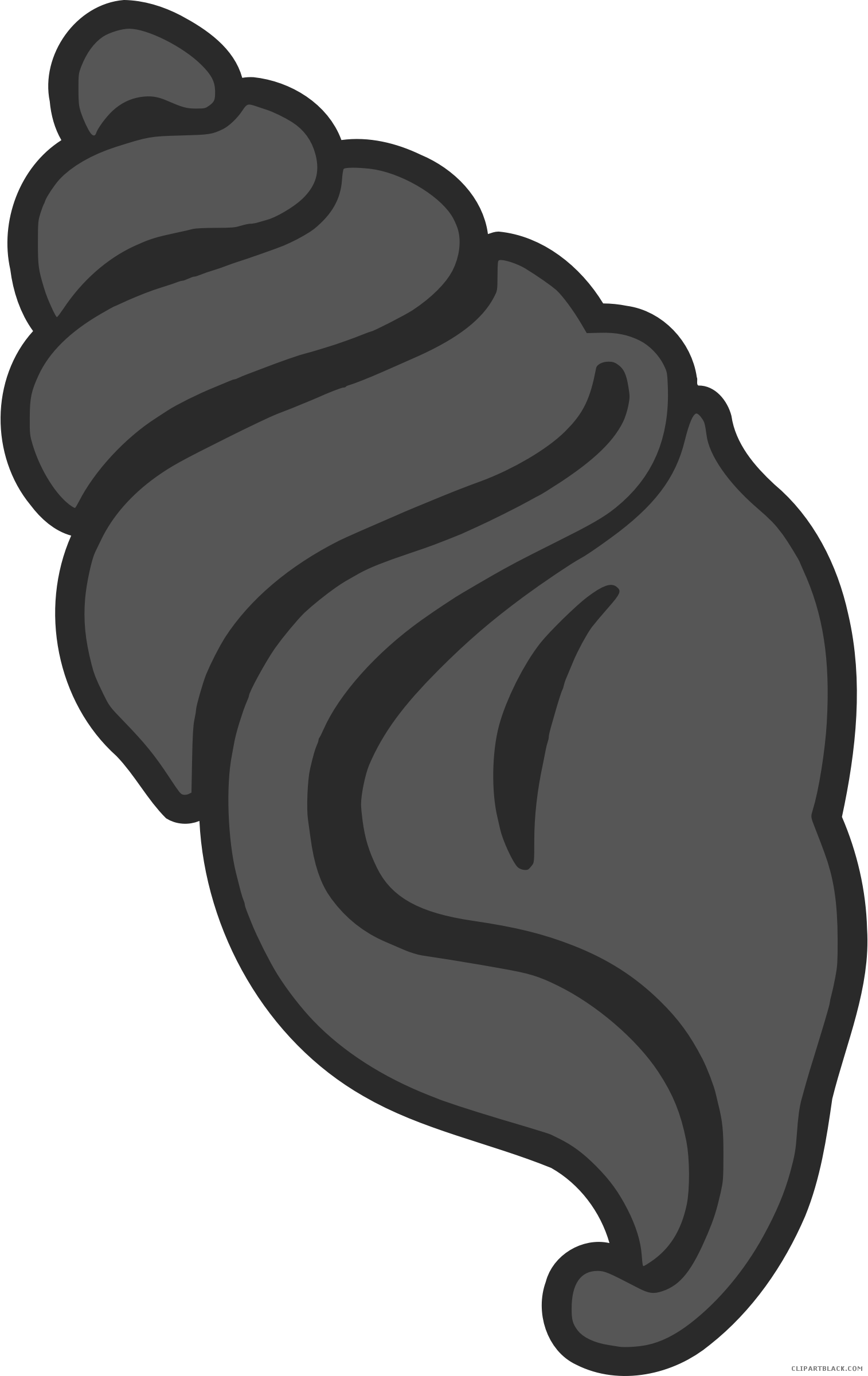 Seashell Animal Free Black White Clipart Images Clipartblack - Seashell Animal Free Black White Clipart Images Clipartblack (1514x2400)