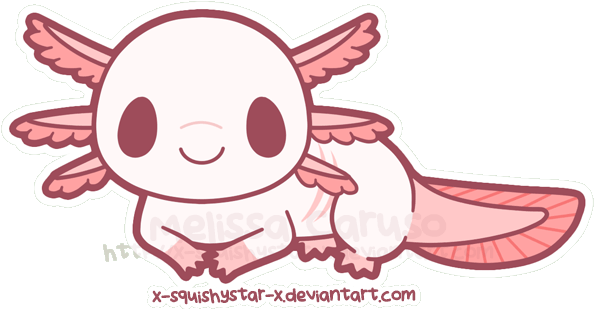 Squishy Axolotl By X Squishystar X On Deviantart - Axolotl Drawing Cute (600x312)