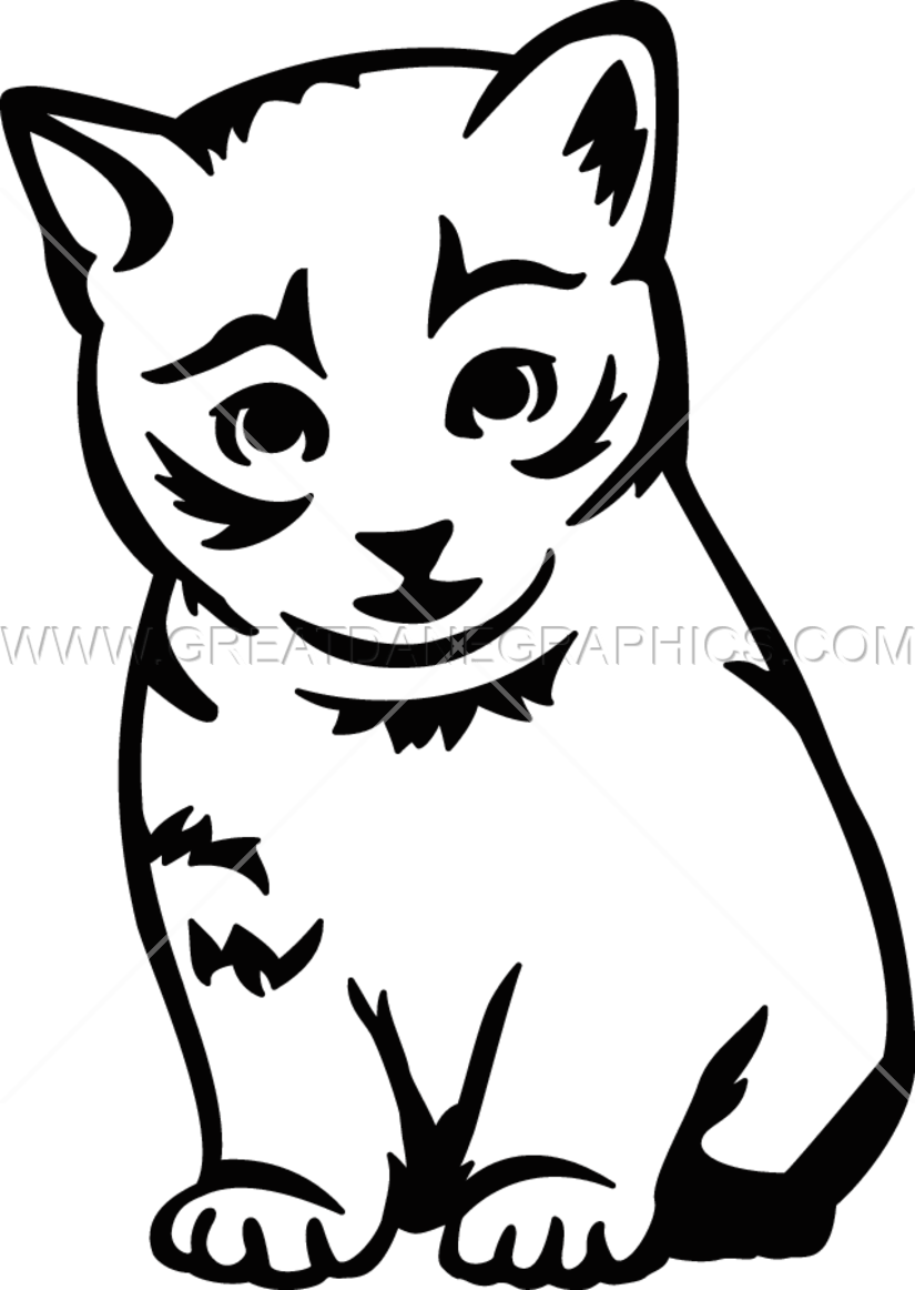Kitten - Domestic Short-haired Cat (825x1162)