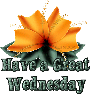 Sunny Wednesday Graphic - Have A Great Wednesday (362x385)
