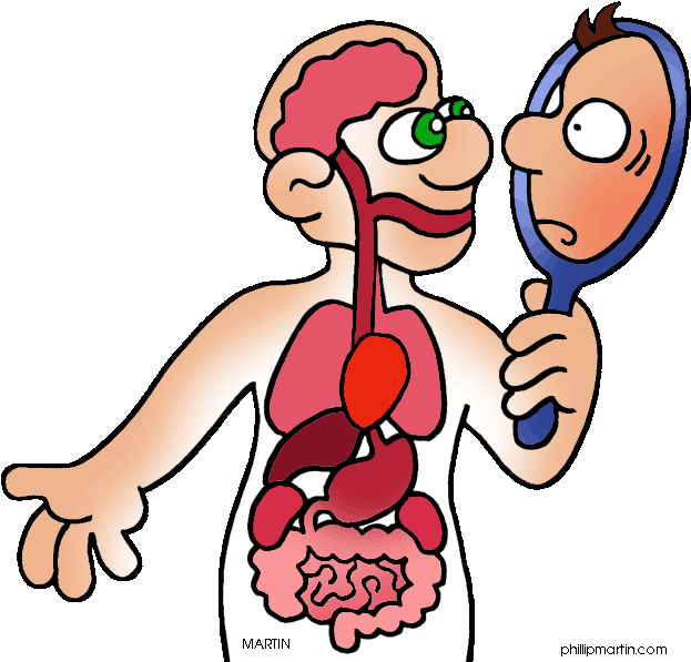 Of Human Body Clip Art Or Clipart Panda - Human Body Clipart - (648x609 ...