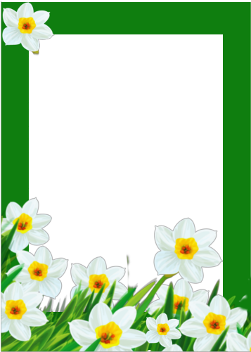 Secondary School Rayno Popovich (388x548)