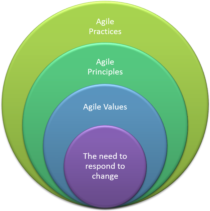 These Practices Should Not Be Implemented Rigidly Because - Agile Values And Principles (1000x685)