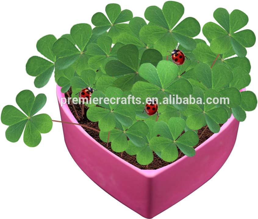 Heart Shape Bio Pot Bamboo Pot Green Flower Pot With - Flowerpot (1000x811)