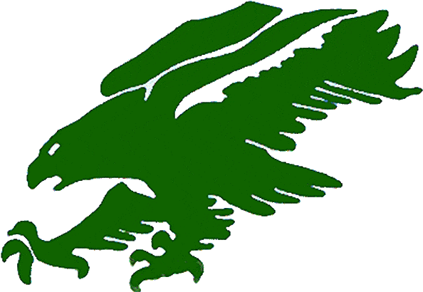 Green Hawk College Logo (600x418)