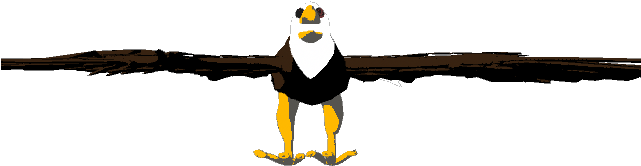 The Eye Is Also A Shaded Brightness Two Tone Texture - Bald Eagle (640x480)