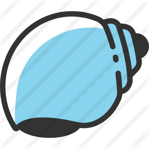 Conch Shell - Seashell (512x512)