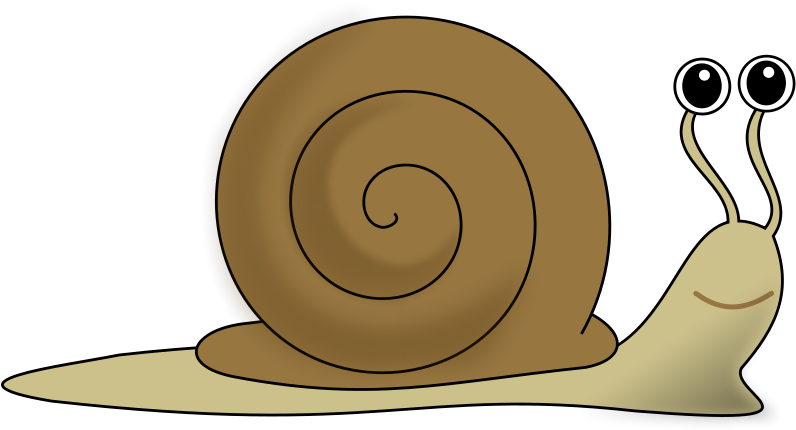 Snail Clipart - Clipartion - Com - Snail Clip Art (800x452)