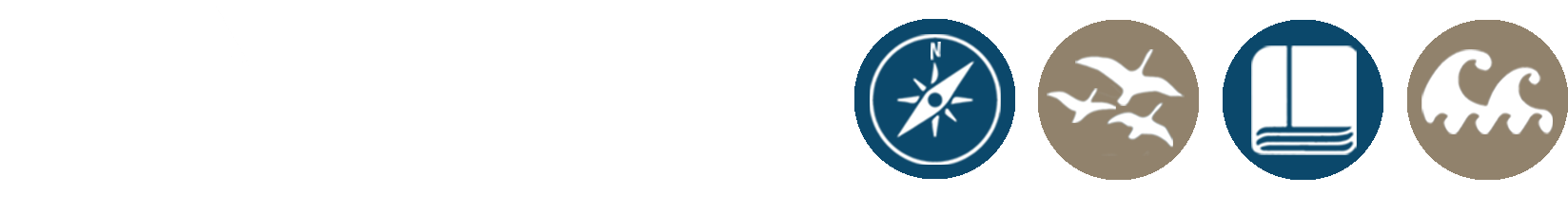 Northbay Adventure Camp Competitors, Revenue And Employees - Northbay Adventure Camp (1650x232)