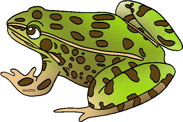 Free Animal Clip Art By Phillip Martin - Northern Leopard Frog Cartoon (648x445)