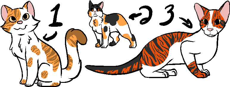 Litter 8- Tallsplash X Roseblaze By Otterxsorrel - Litter 8- Tallsplash X Roseblaze By Otterxsorrel (793x302)