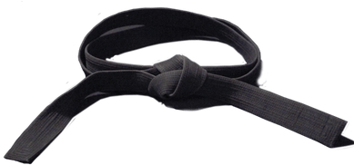 Karate Black Belt - Transparent Black Belt Background (400x400)