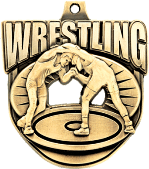 53 Ecliptic Medals Wrestling - Gold (300x400)