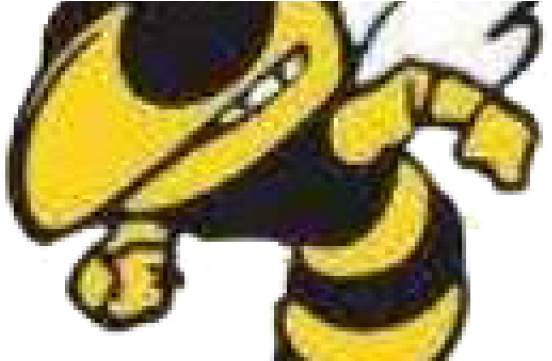Hanover Park Stays Undefeated - Georgia Tech Yellow Jackets (640x360)