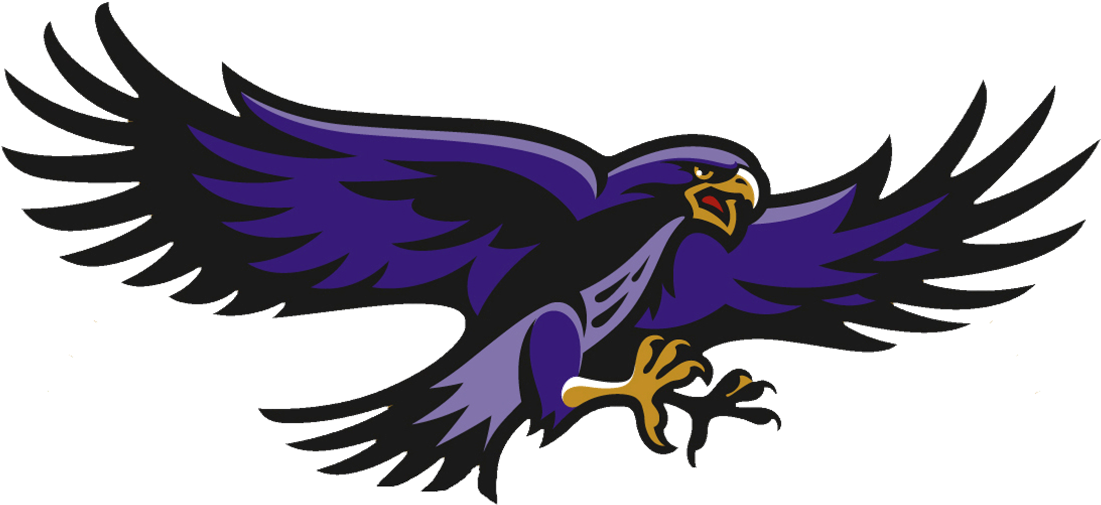 Horizon Christian School Hawk (1172x556)