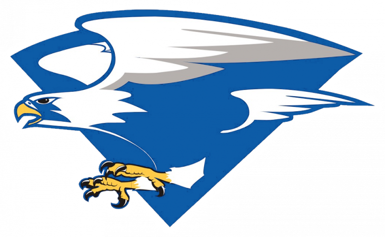 Air Force Falcons Football (768x473)