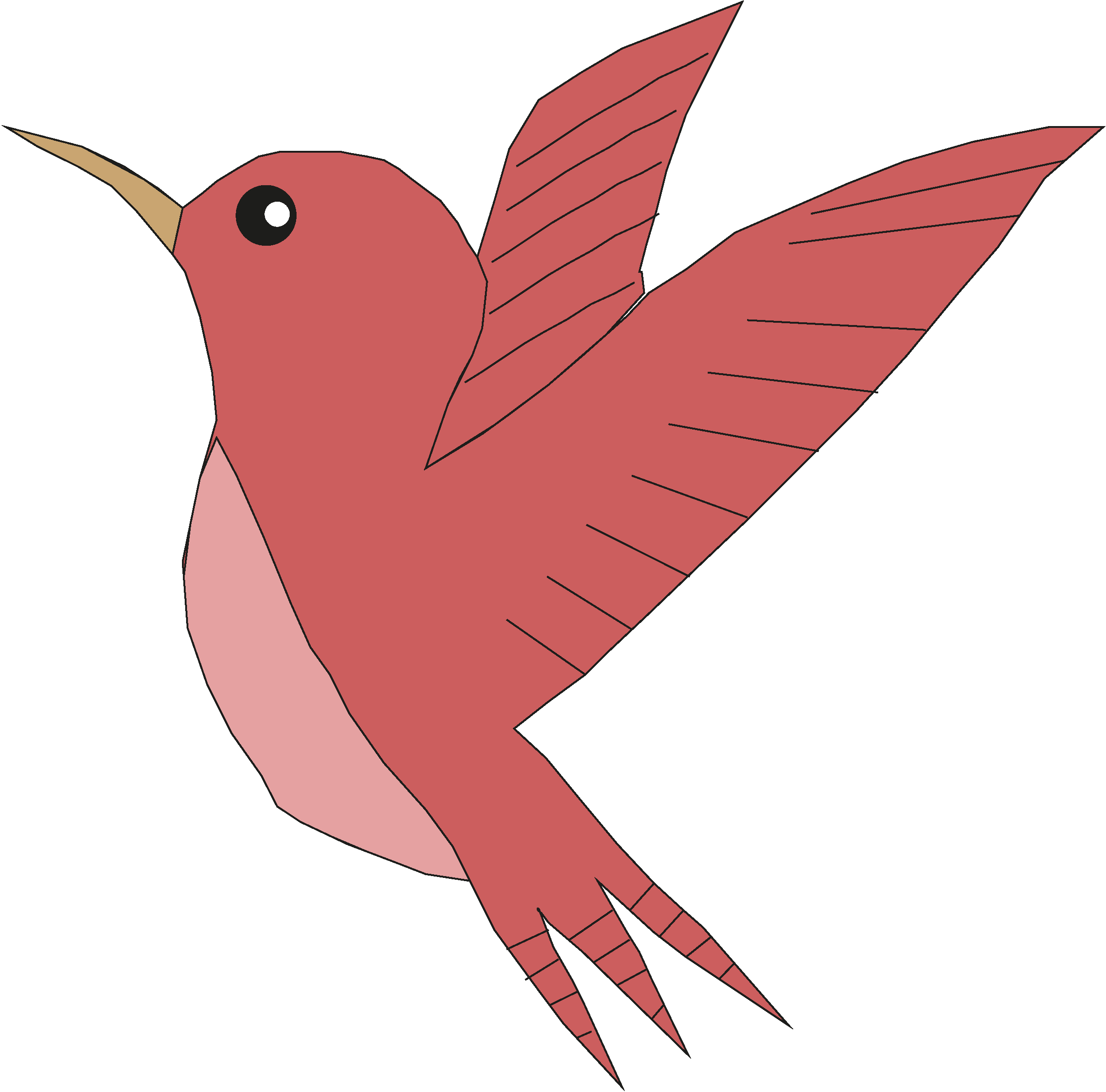 Bird - Rufous Hummingbird (2413x2382)