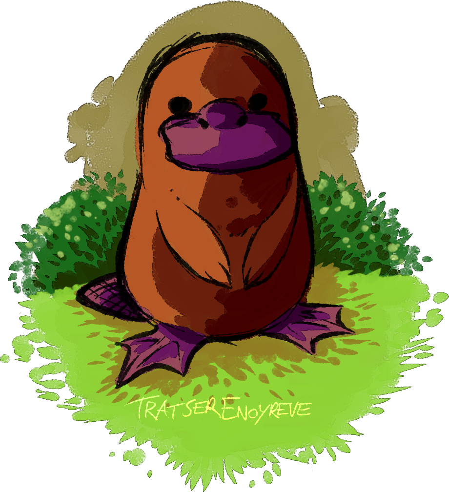 Platypus Doodle By Tratserenoyreve Platypus Doodle - Illustration (920x1010)
