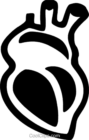 Human Heart Clipart Png - Real Heart Vector Png (306x480)