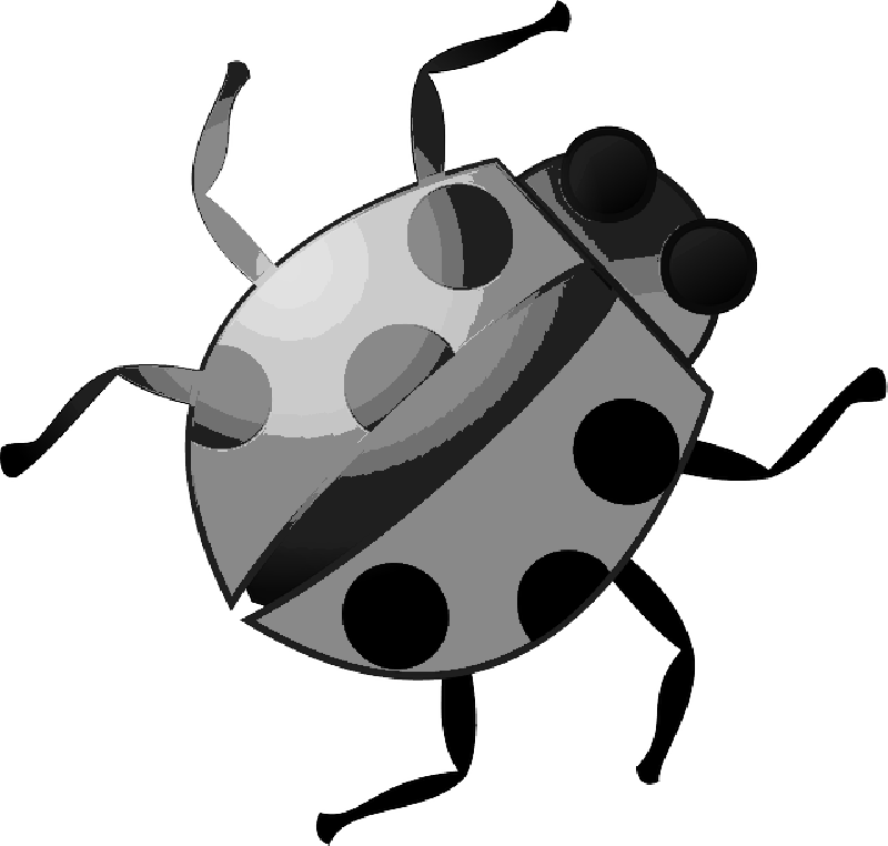Red, Black, Cartoon, Ladybug, Wings, Insect, Spots - Bug Clip Art (800x762)
