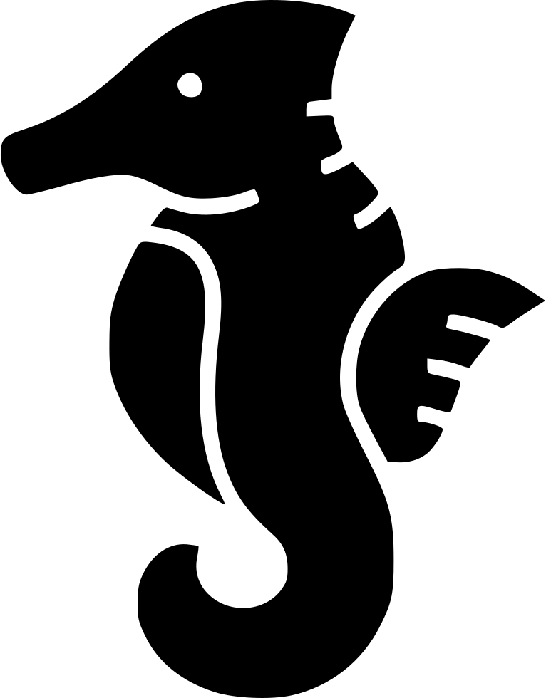 Sea Horse Hippocampus Comments - Seahorse (766x980)