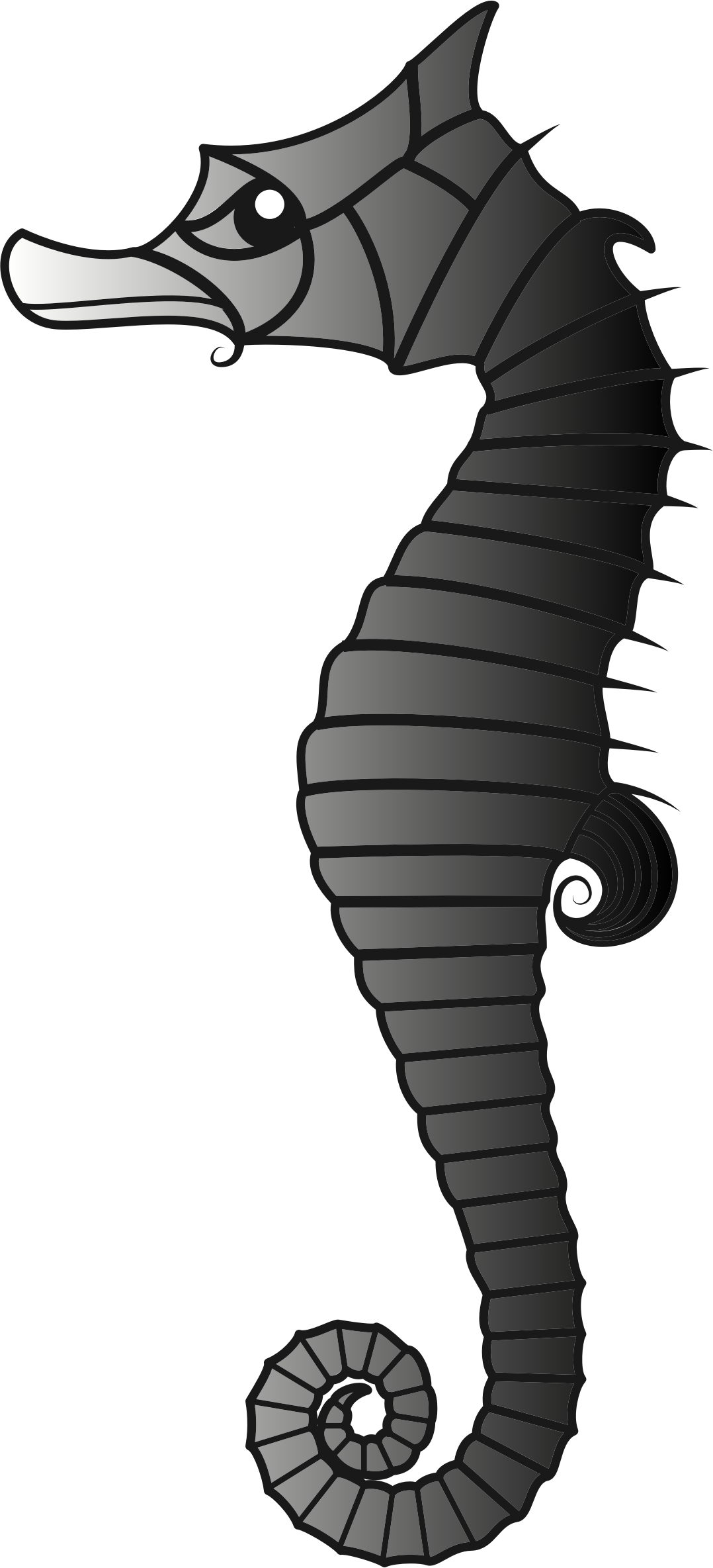Seahorse - Illustration (1078x2369)