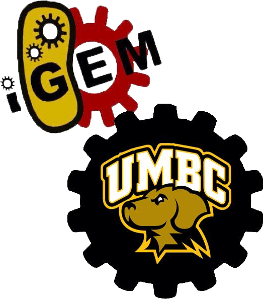 Team - Umbc-maryland/notebook - University Of Maryland, Baltimore County (640x640)