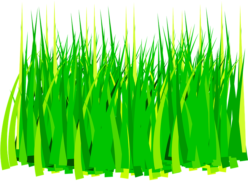 Rumput Png Collection 59 Free Vector Graphic Agriculture - Grass Clip Art (833x720)