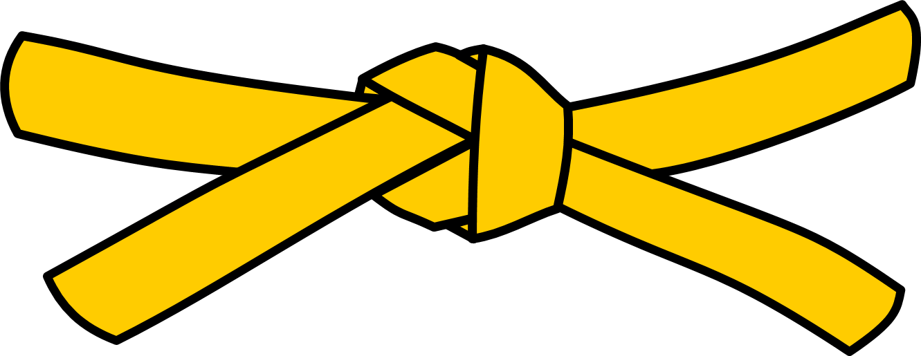 Is Your First Grading - Jiu Jitsu (1331x515)