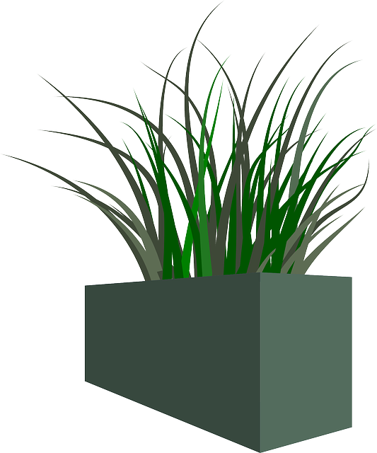 Pot, Grass, Plant, Weeds - Planter .png (533x640)