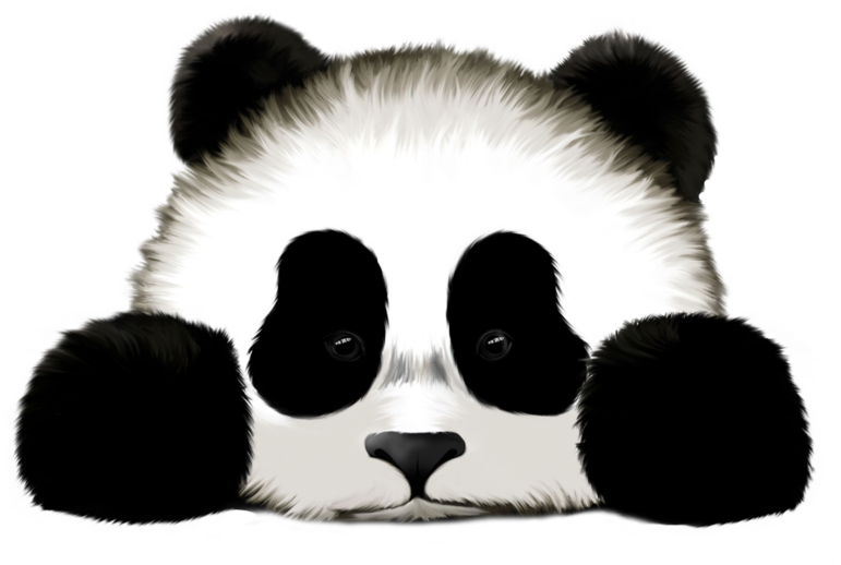 Sad Panda Clear Backdrop By Hazey1988 - Panda Png (1024x640)