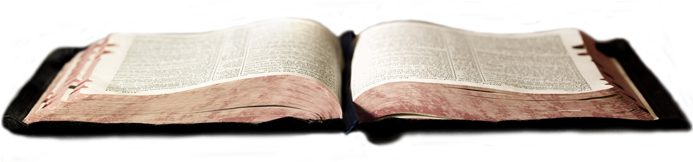 Bible Png - Clip Art (700x264)