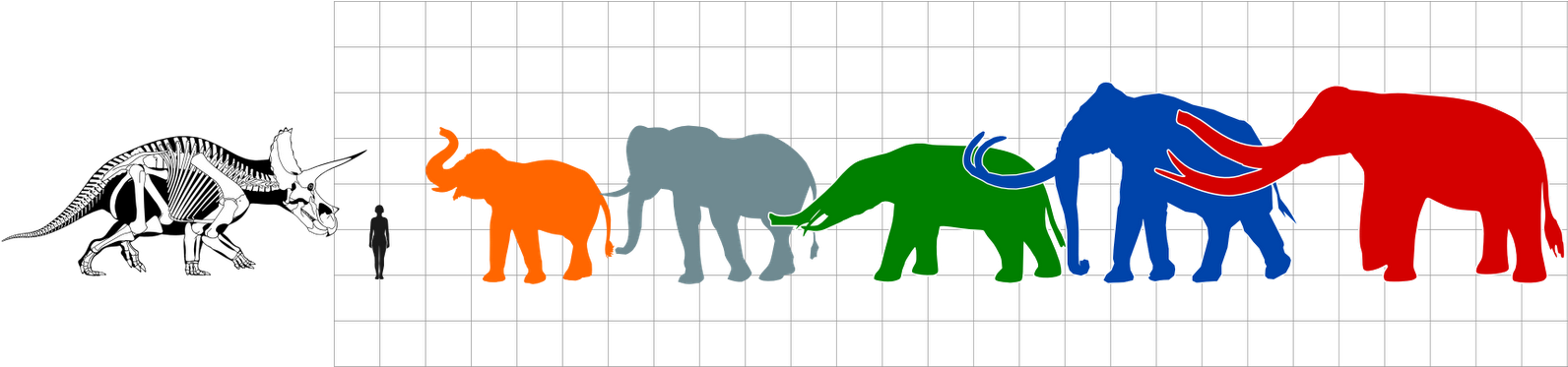 Triceratops Are More Heavily Armed & Dealt With Predators - Tabitha Paterson (1600x372)