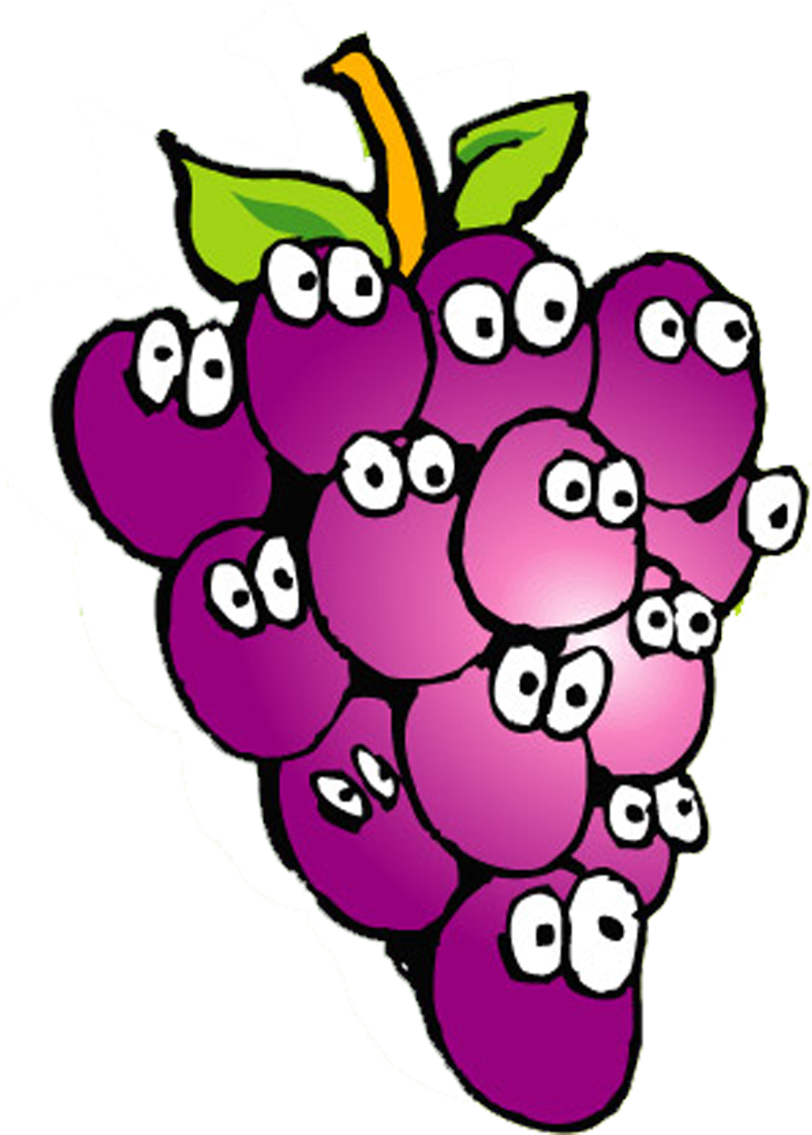 Grape Aguardiente Cartoon Drawing - Grape (1892x1416)