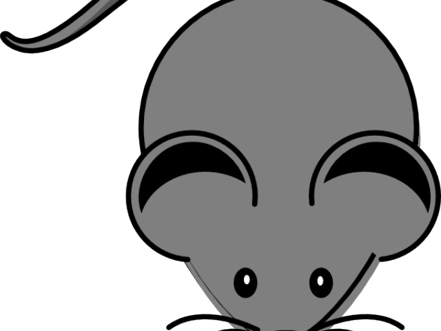 Mouse Clipart - Clip Art (640x480)