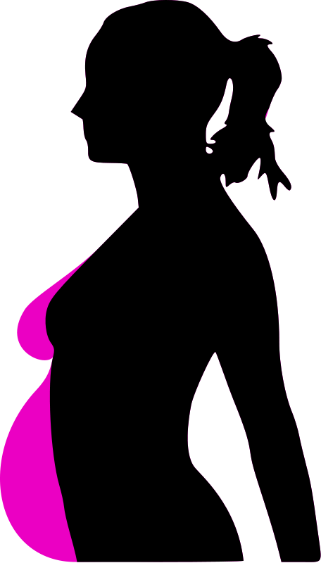 Modern Pregnant Woman Cliparts - Pregnant Clip Art (456x800)
