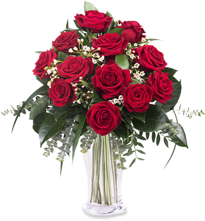 12 Red Roses - Flower Vase Cut Out (480x480)