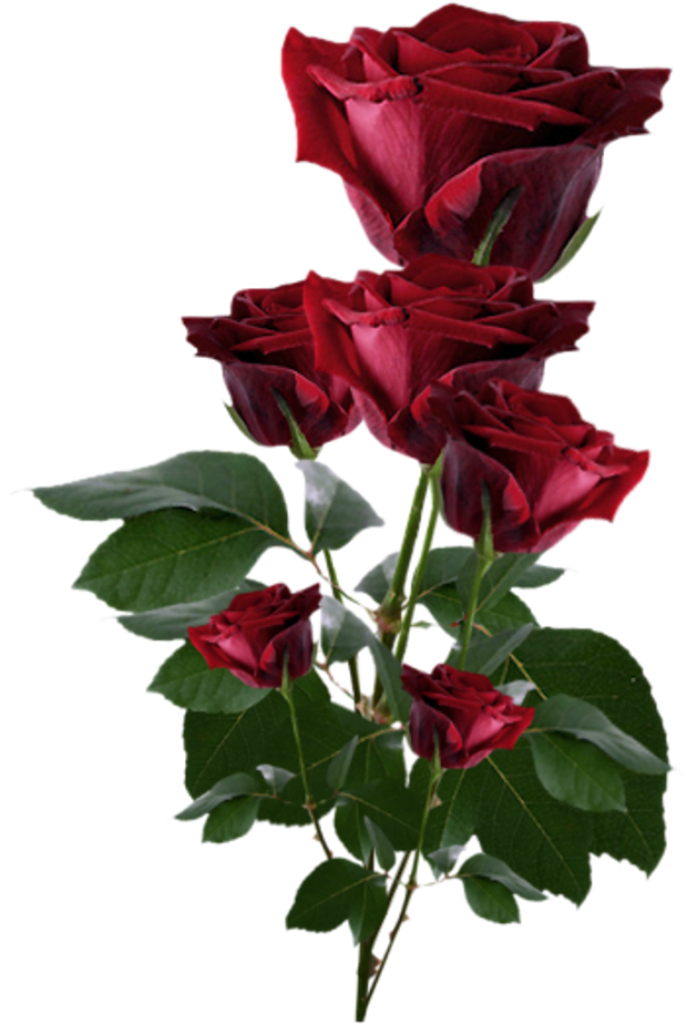 Love Id - Roses Png (652x956)