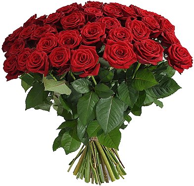 Long Stem Red Roses - 100 Red Roses Bouquet (392x375)